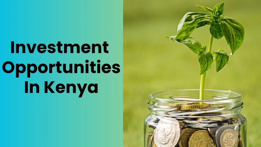 Investment Opportunities